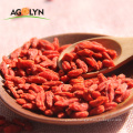 AGOLYN Red Lycium barbarum for Herbal Medicine